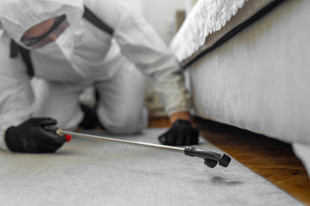 Professional Termite Control technician working in Daniels Farm, CT