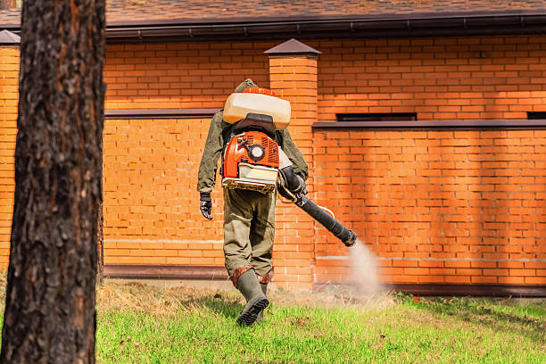 Trusted Termite Control service in Daniels Farm, CT - Nex Pest Control